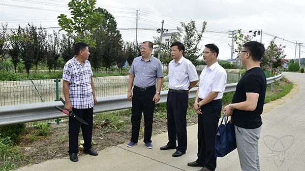 集团公司工会到白马湖开展送清凉活动