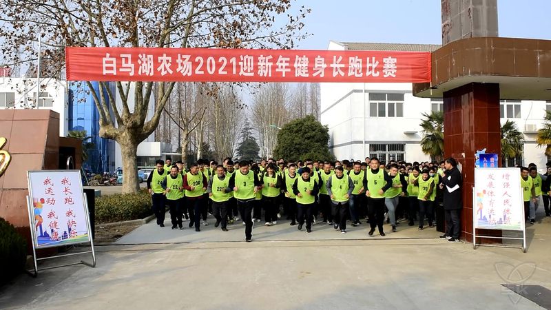 农场公司成功举办迎新年健身长跑比赛