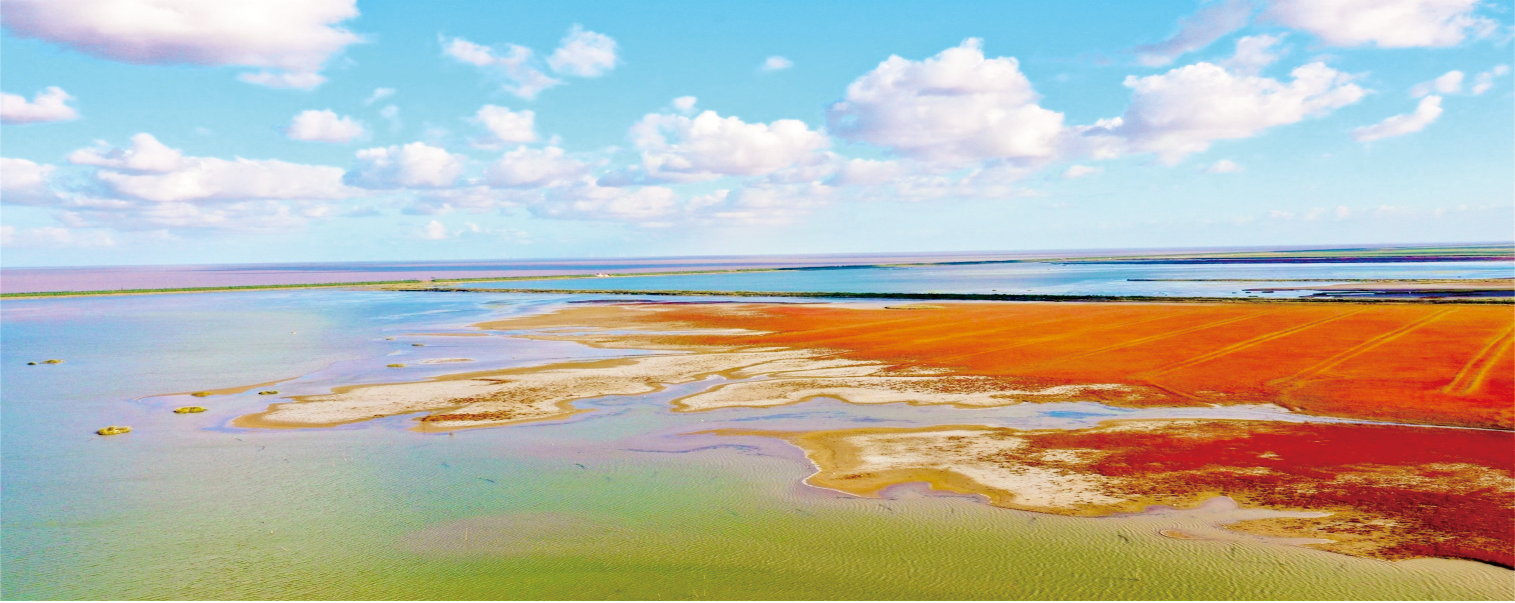 黄海国家森林公园.png